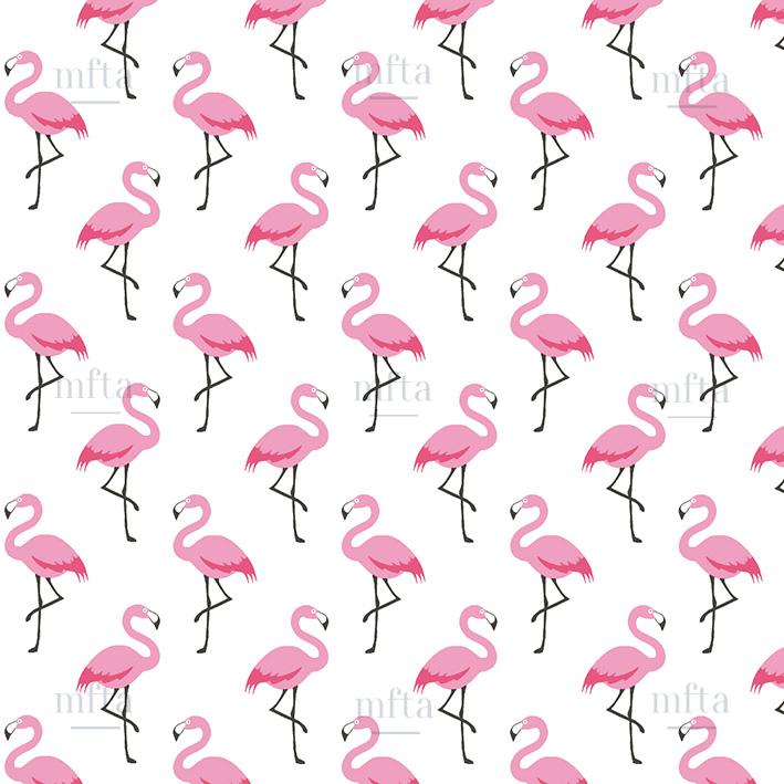 4554_FLAMINGO_001 Flamingo