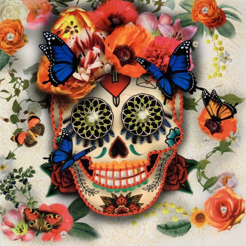 IMG_2302 Skulls Velours