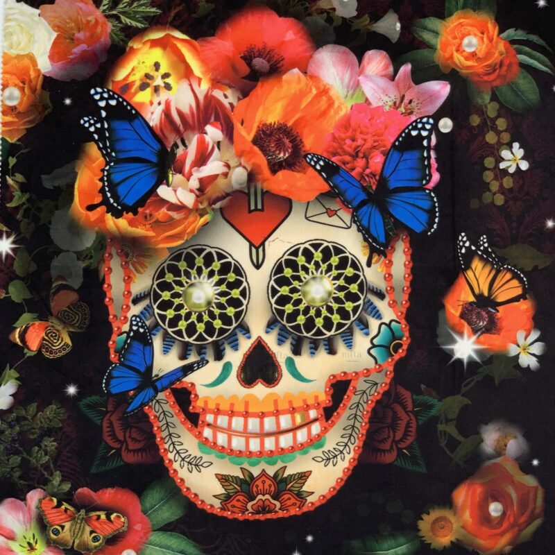 IMG_2303 Skulls Velours