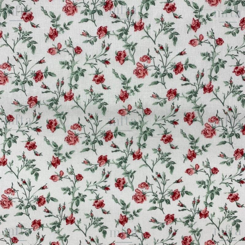 5007_GRACE_001 bis Grace