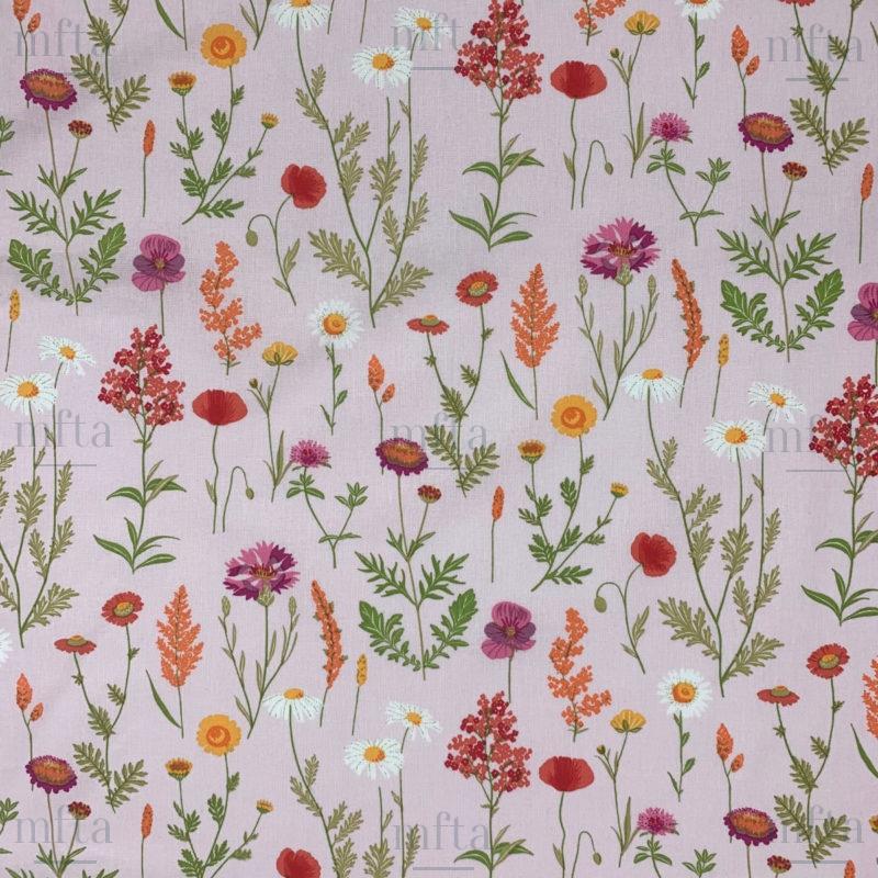 5020_FLEURS DES CHAMPS_002 bis Fleurs des champs