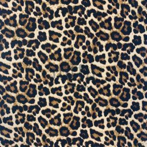 5035_LEO_001 bis Léo