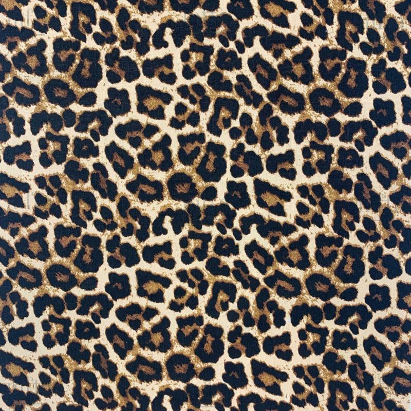 5035_LEO_001 bis Léo