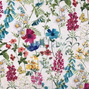 7129_HERBIER_010 bis Herbier Lico