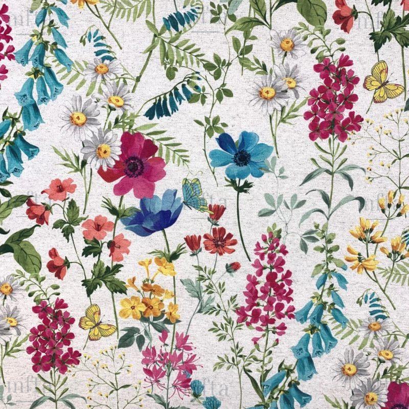 Herbier Lico
