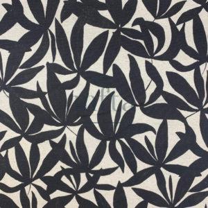 7161_ALBA_001 bis Alba