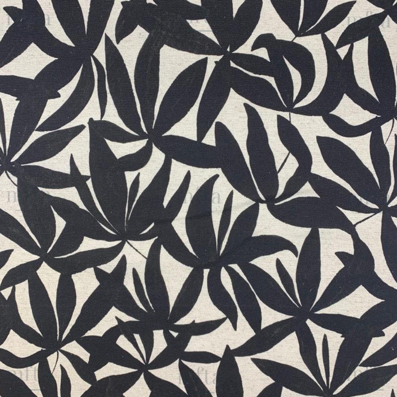 7161_ALBA_001 bis Alba