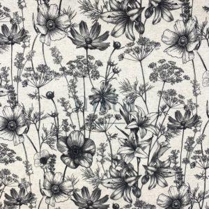 7165_ADELE_010 bis Adèle Lico