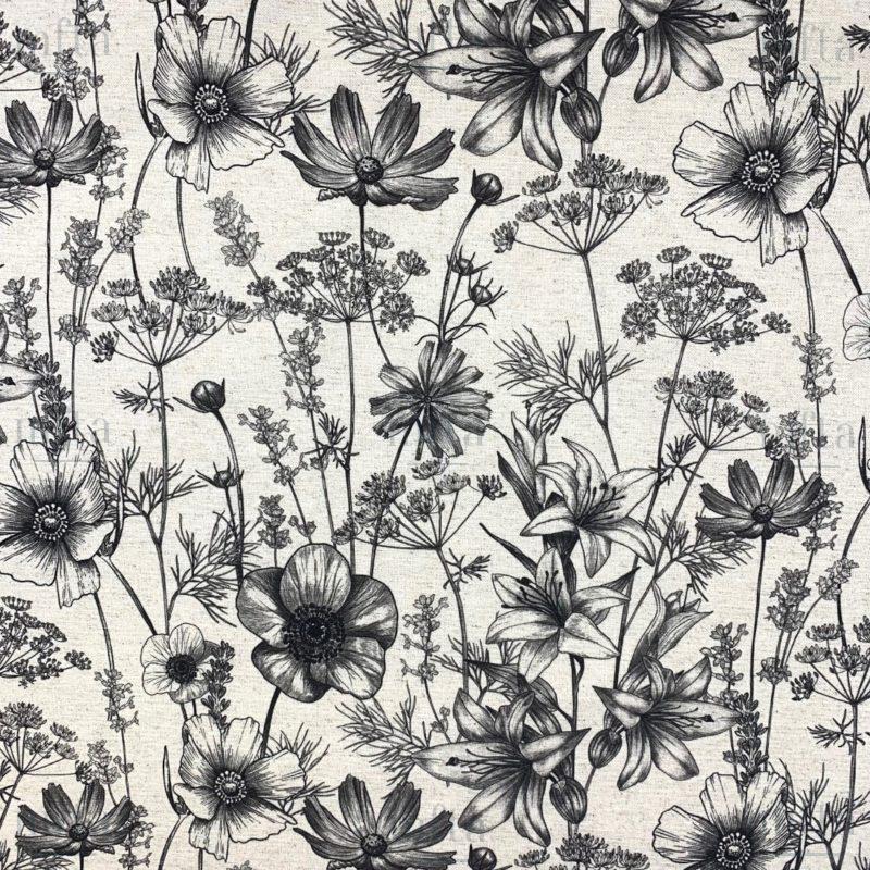 7165_ADELE_010 bis Adèle Lico