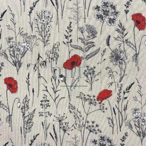 5029_GRAMINEES_001 Graminées