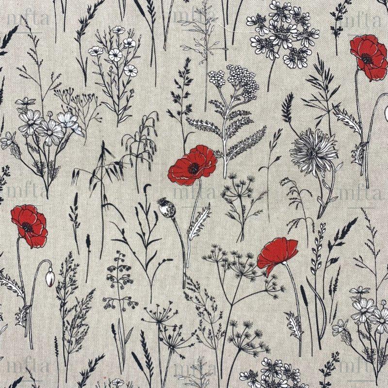 5029_GRAMINEES_001 Graminées