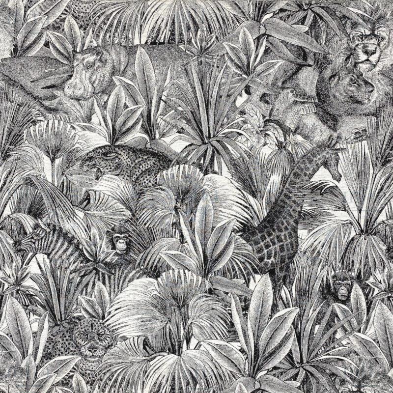Safari