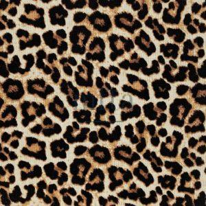 Savane