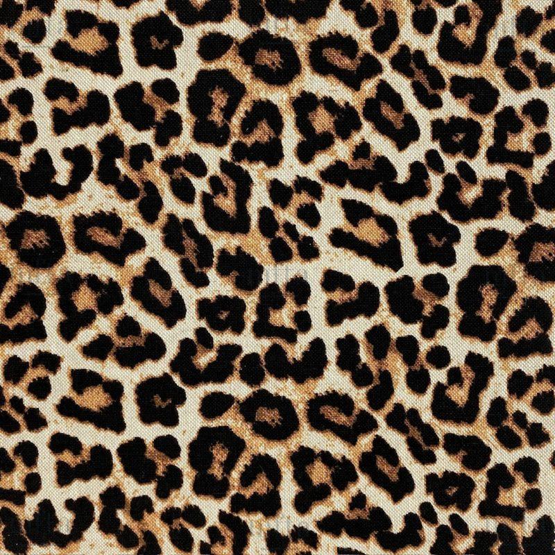Savane