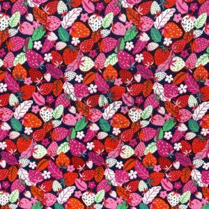 Fraisiers 5065 - 001 Fraisiers