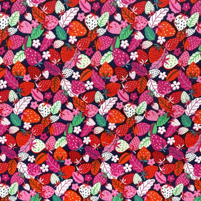 Fraisiers 5065 - 001 Fraisiers