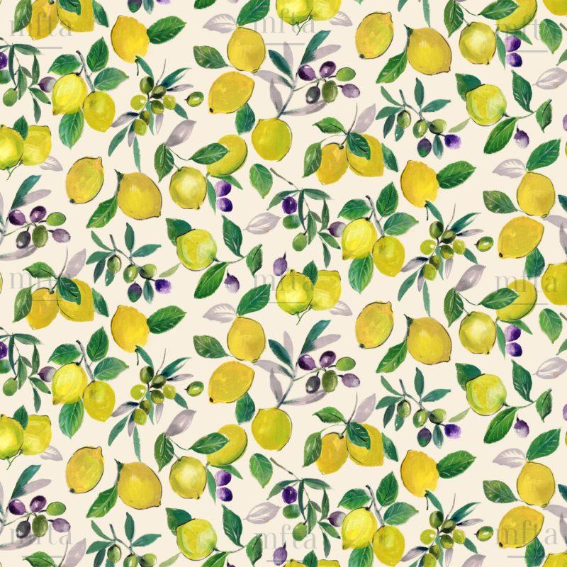 7244_CITRONNADE_001 Citronnade